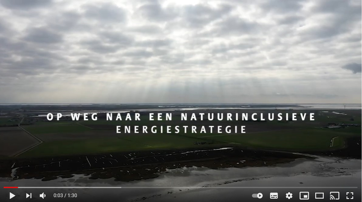 Natuurinclusieve energiestrategie